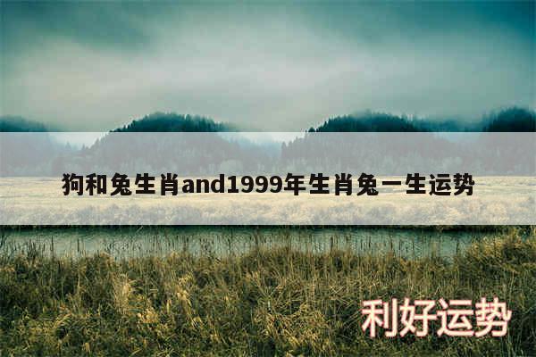 狗和兔生肖and1999年生肖兔一生运势