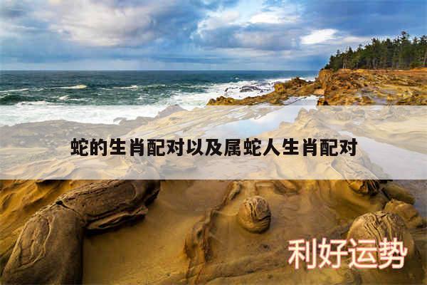蛇的生肖配对以及属蛇人生肖配对