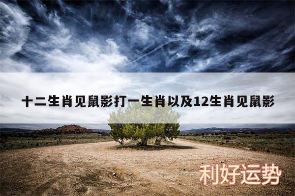 十二生肖见鼠影打一生肖以及12生肖见鼠影
