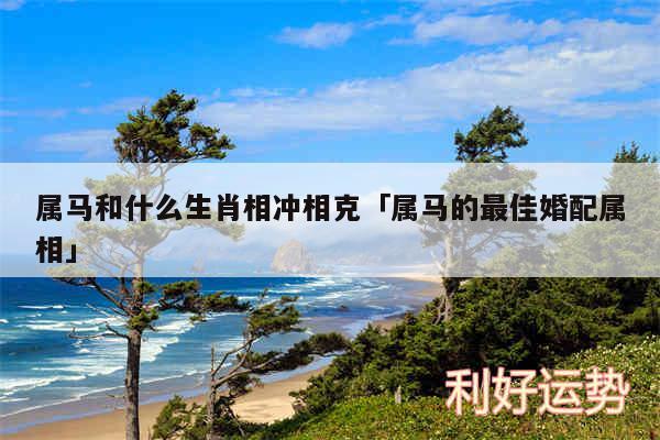 属马和什么生肖相冲相克及属马的最佳婚配属相
