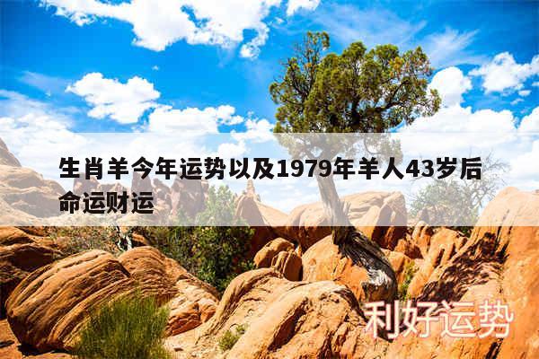 生肖羊今年运势以及1979年羊人43岁后命运财运