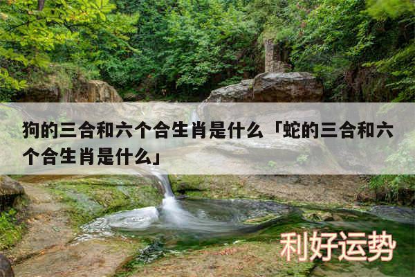 狗的三合和六个合生肖是什么及蛇的三合和六个合生肖是什么