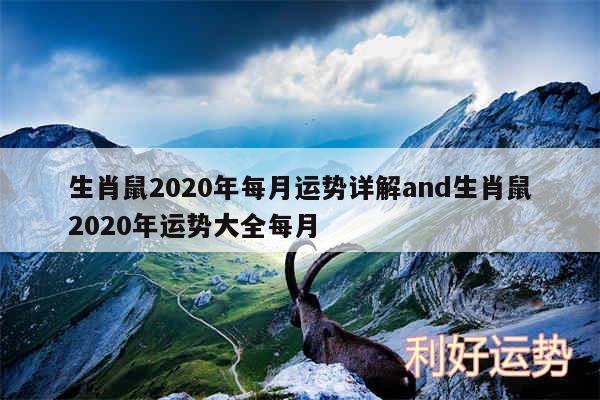 生肖鼠2020年每月运势详解and生肖鼠2020年运势大全每月