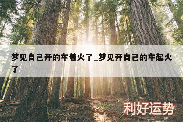 梦见自己开的车着火了_梦见开自己的车起火了