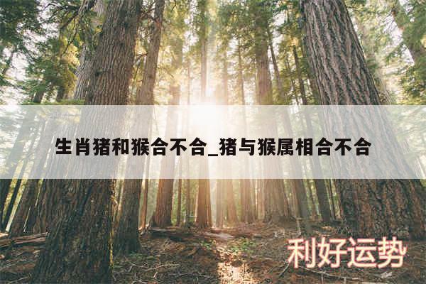 生肖猪和猴合不合_猪与猴属相合不合