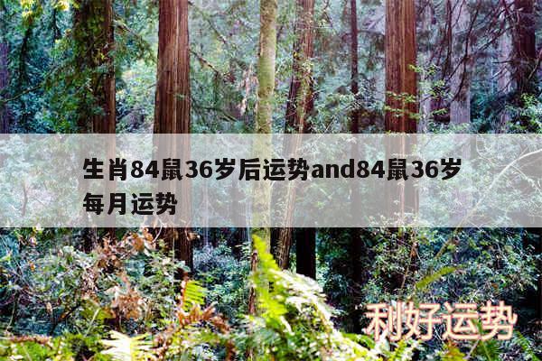 生肖84鼠36岁后运势and84鼠36岁每月运势