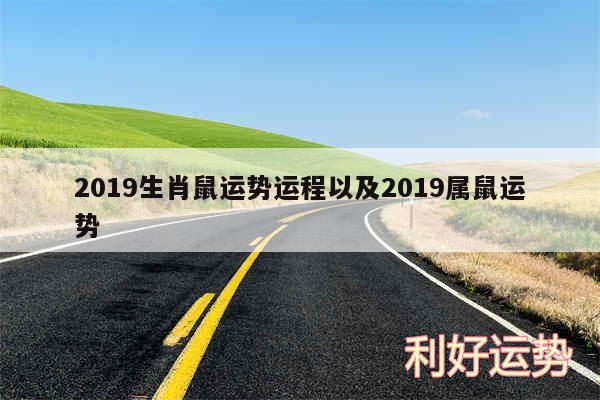 2019生肖鼠运势运程以及2019属鼠运势