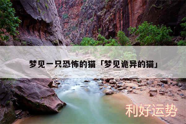 梦见一只恐怖的猫及梦见诡异的猫