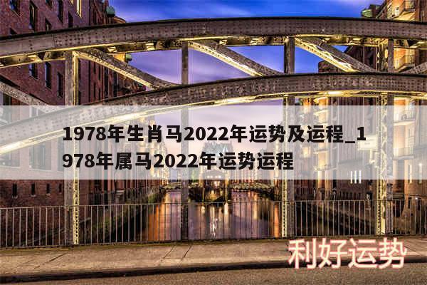 1978年生肖马2024年运势及运程_1978年属马2024年运势运程