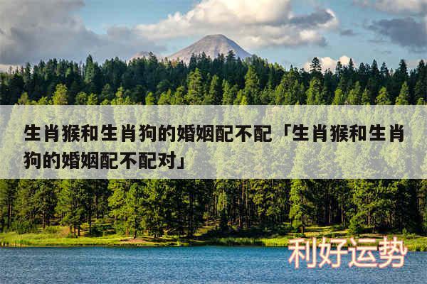 生肖猴和生肖狗的婚姻配不配及生肖猴和生肖狗的婚姻配不配对