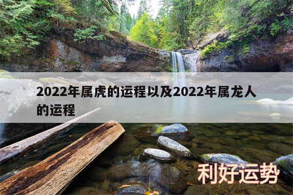 2024年属虎的运程以及2024年属龙人的运程