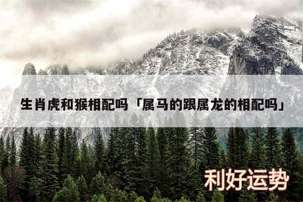 生肖虎和猴相配吗及属马的跟属龙的相配吗