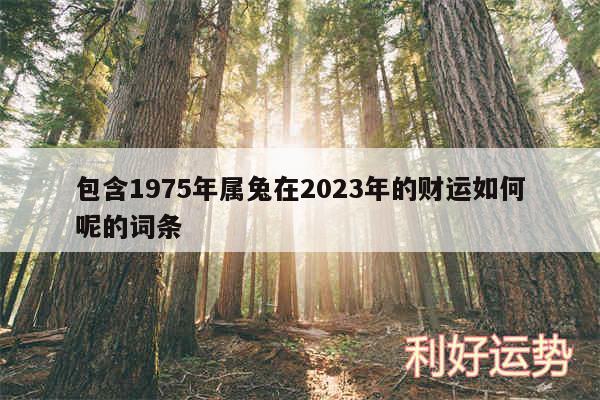 包含1975年属兔在2024年的财运如何呢的词条