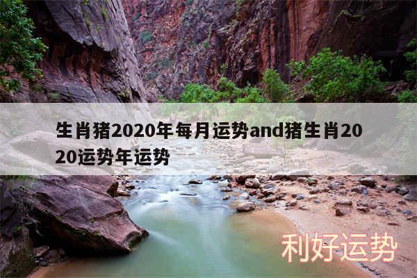 生肖猪2020年每月运势and猪生肖2020运势年运势