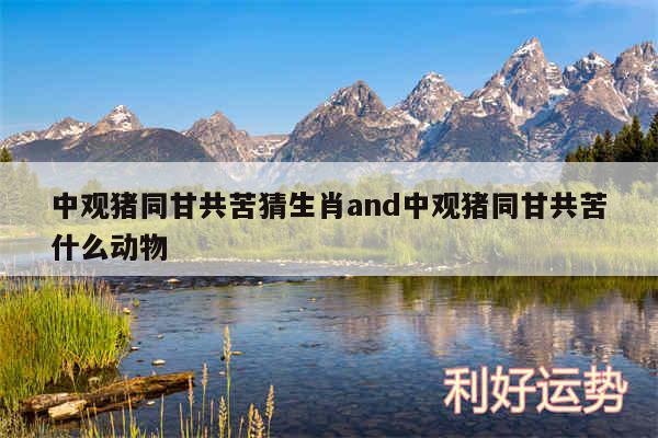 中观猪同甘共苦猜生肖and中观猪同甘共苦什么动物