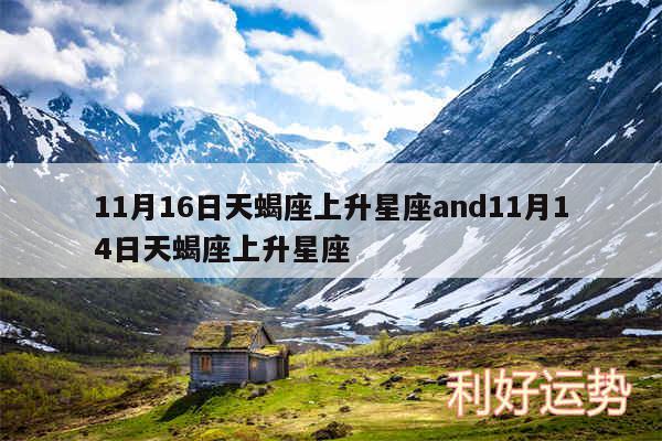 11月16日天蝎座上升星座and11月14日天蝎座上升星座