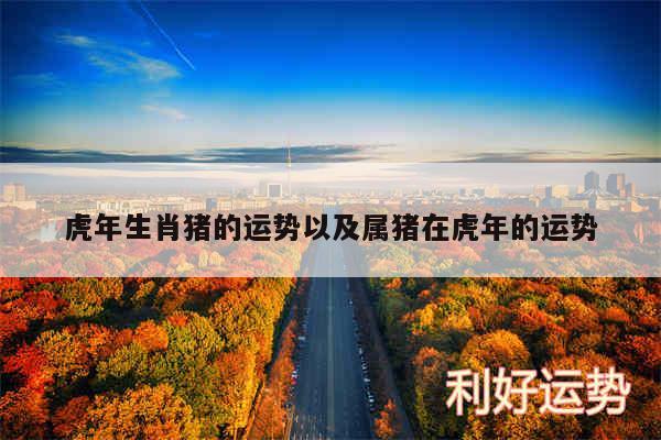 虎年生肖猪的运势以及属猪在虎年的运势