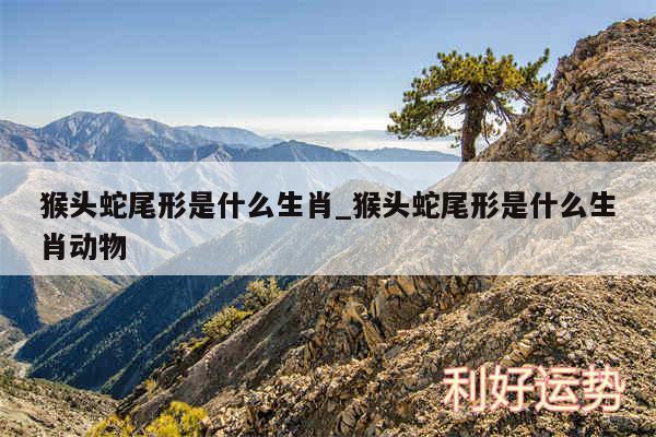 猴头蛇尾形是什么生肖_猴头蛇尾形是什么生肖动物