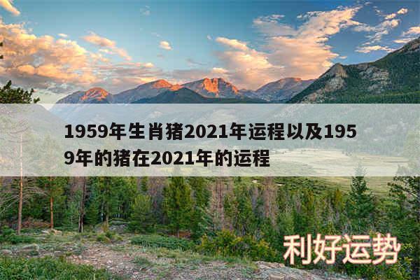 1959年生肖猪2024年运程以及1959年的猪在2024年的运程