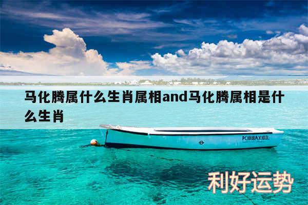 马化腾属什么生肖属相and马化腾属相是什么生肖