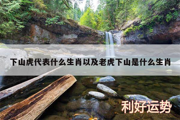 下山虎代表什么生肖以及老虎下山是什么生肖