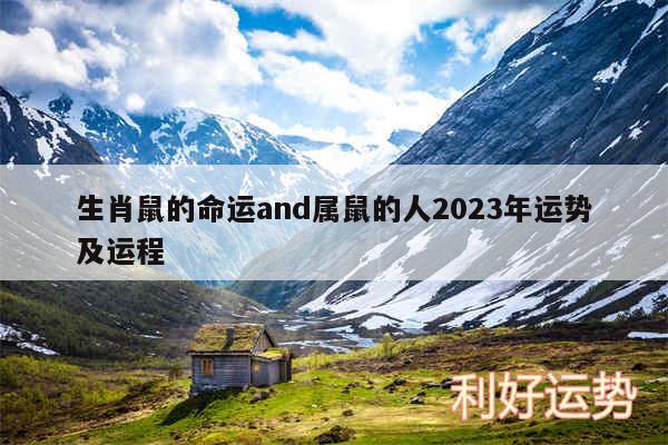 生肖鼠的命运and属鼠的人2024年运势及运程