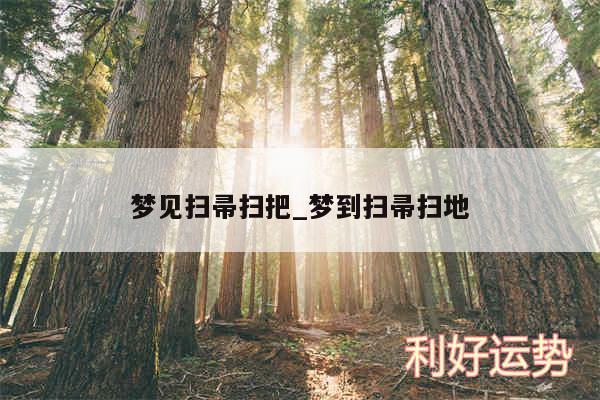 梦见扫帚扫把_梦到扫帚扫地