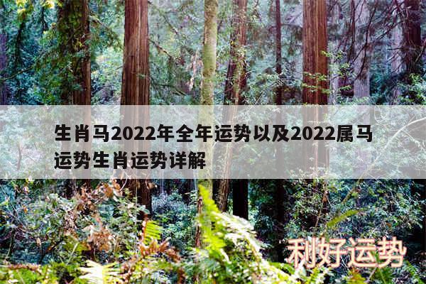 生肖马2024年全年运势以及2024属马运势生肖运势详解