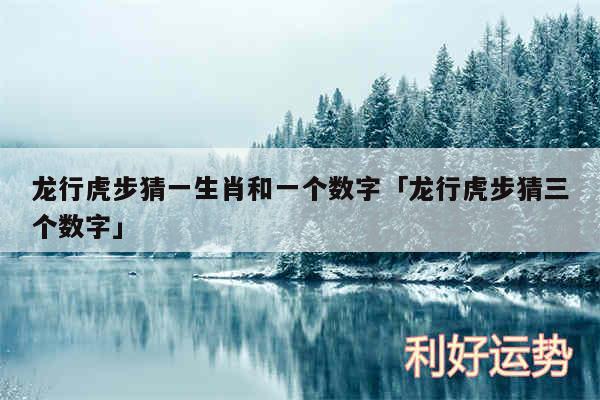 龙行虎步猜一生肖和一个数字及龙行虎步猜三个数字