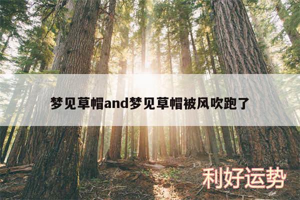 梦见草帽and梦见草帽被风吹跑了