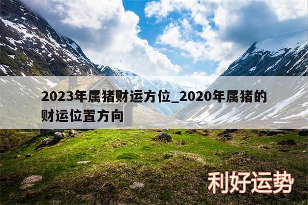 2024年属猪财运方位_2020年属猪的财运位置方向