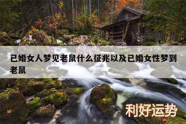 已婚女人梦见老鼠什么征兆以及已婚女性梦到老鼠