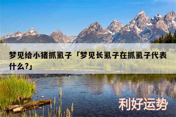 梦见给小猪抓虱子及梦见长虱子在抓虱子代表什么?