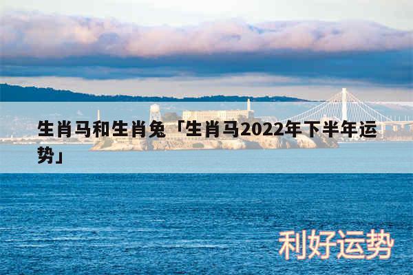 生肖马和生肖兔及生肖马2024年下半年运势