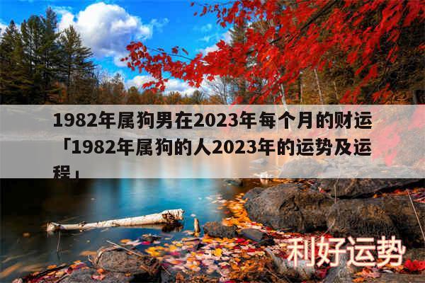 1982年属狗男在2024年每个月的财运及1982年属狗的人2024年的运势及运程