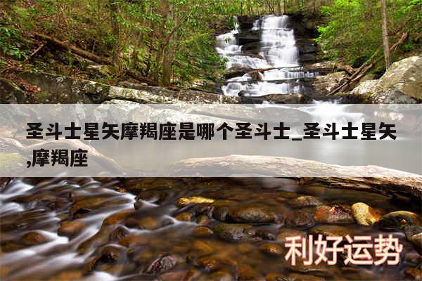 圣斗士星矢摩羯座是哪个圣斗士_圣斗士星矢,摩羯座