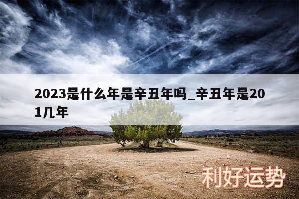 2024是什么年是辛丑年吗_辛丑年是201几年