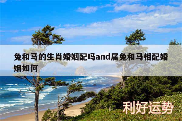 兔和马的生肖婚姻配吗and属兔和马相配婚姻如何