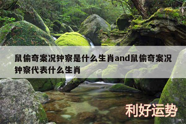 鼠偷奇案况钟察是什么生肖and鼠偷奇案况钟察代表什么生肖