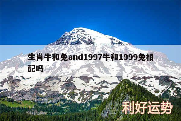 生肖牛和兔and1997牛和1999兔相配吗