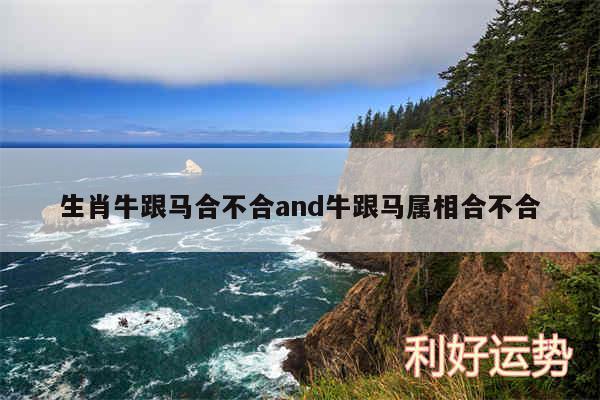 生肖牛跟马合不合and牛跟马属相合不合