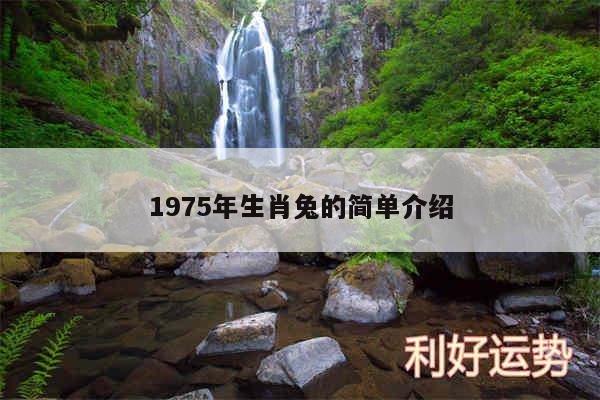 1975年生肖兔的简单介绍