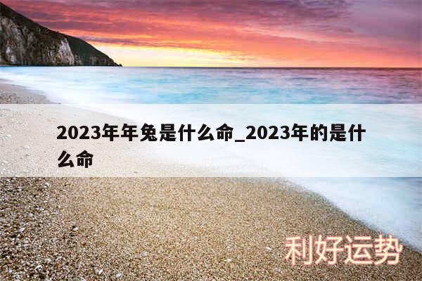 2024年年兔是什么命_2024年的是什么命