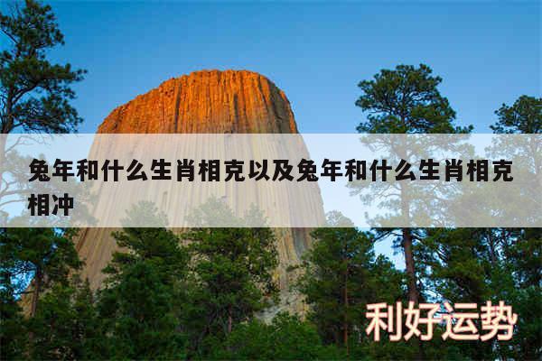 兔年和什么生肖相克以及兔年和什么生肖相克相冲