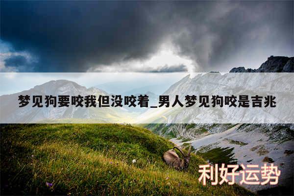 梦见狗要咬我但没咬着_男人梦见狗咬是吉兆