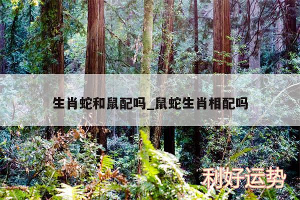 生肖蛇和鼠配吗_鼠蛇生肖相配吗