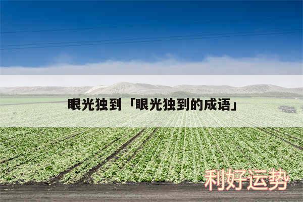 眼光独到及眼光独到的成语