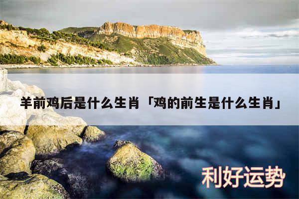 羊前鸡后是什么生肖及鸡的前生是什么生肖