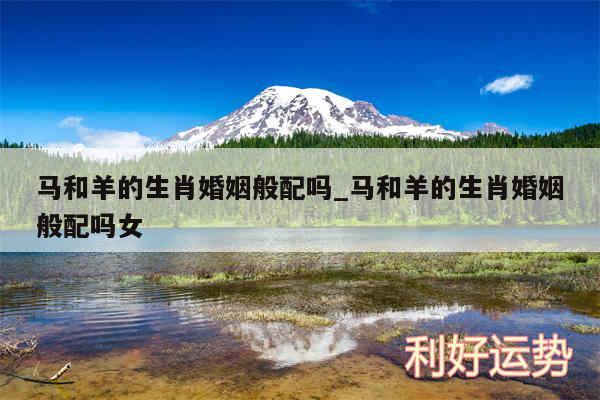 马和羊的生肖婚姻般配吗_马和羊的生肖婚姻般配吗女