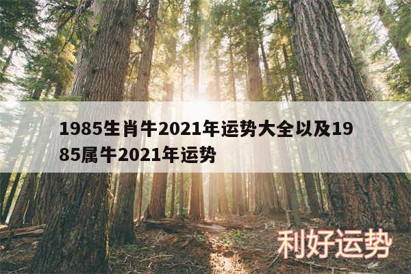 1985生肖牛2024年运势大全以及1985属牛2024年运势